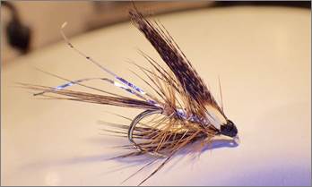 Ted Wherry’s Silver Dabbler