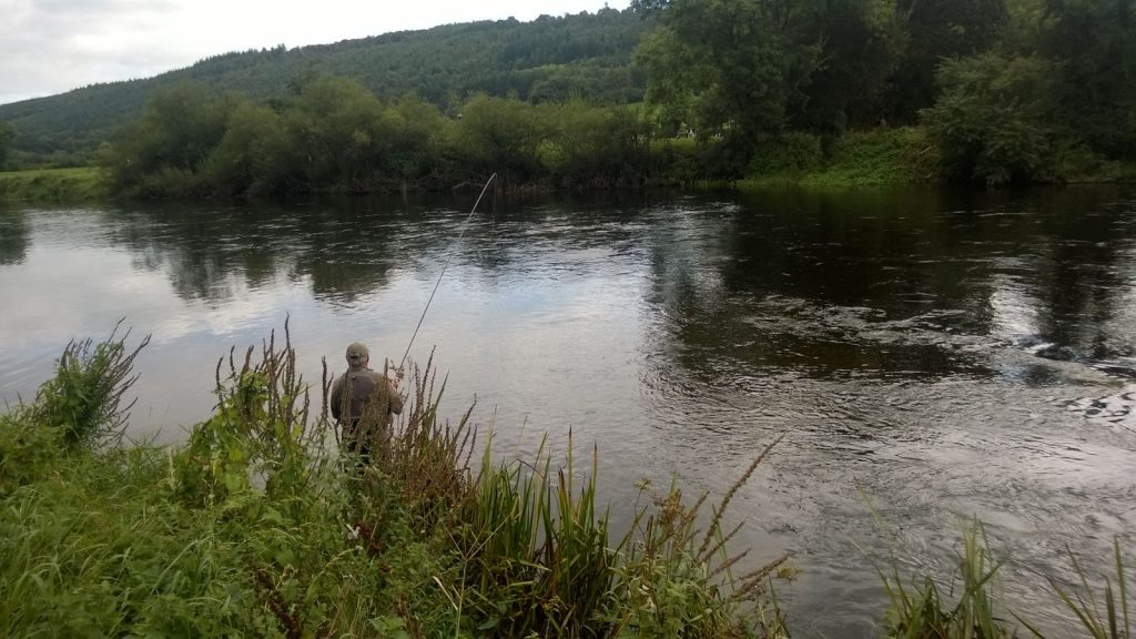 Zalmvissen op de rivier de Suir.