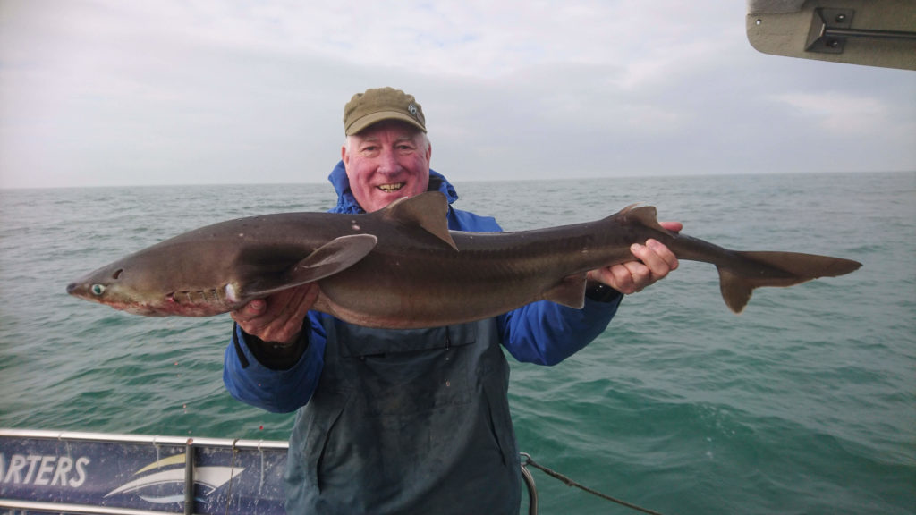 Vangst van de Week: Dan Smith met de grootste doornhaai van de dag, 15,66 pond en 116 cm lang.