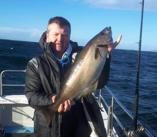 Kijk naar de buik op die vis! Nog een goed doorvoede pollak uit Donegal Bay.