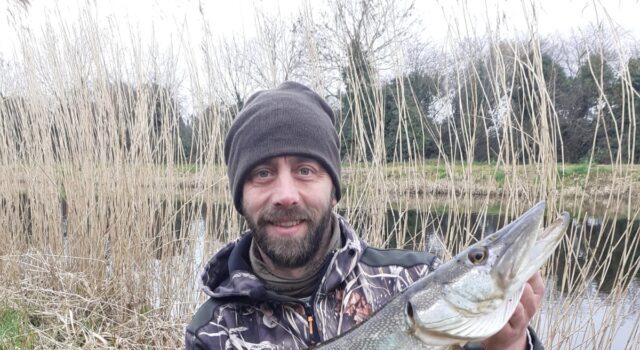 snoek